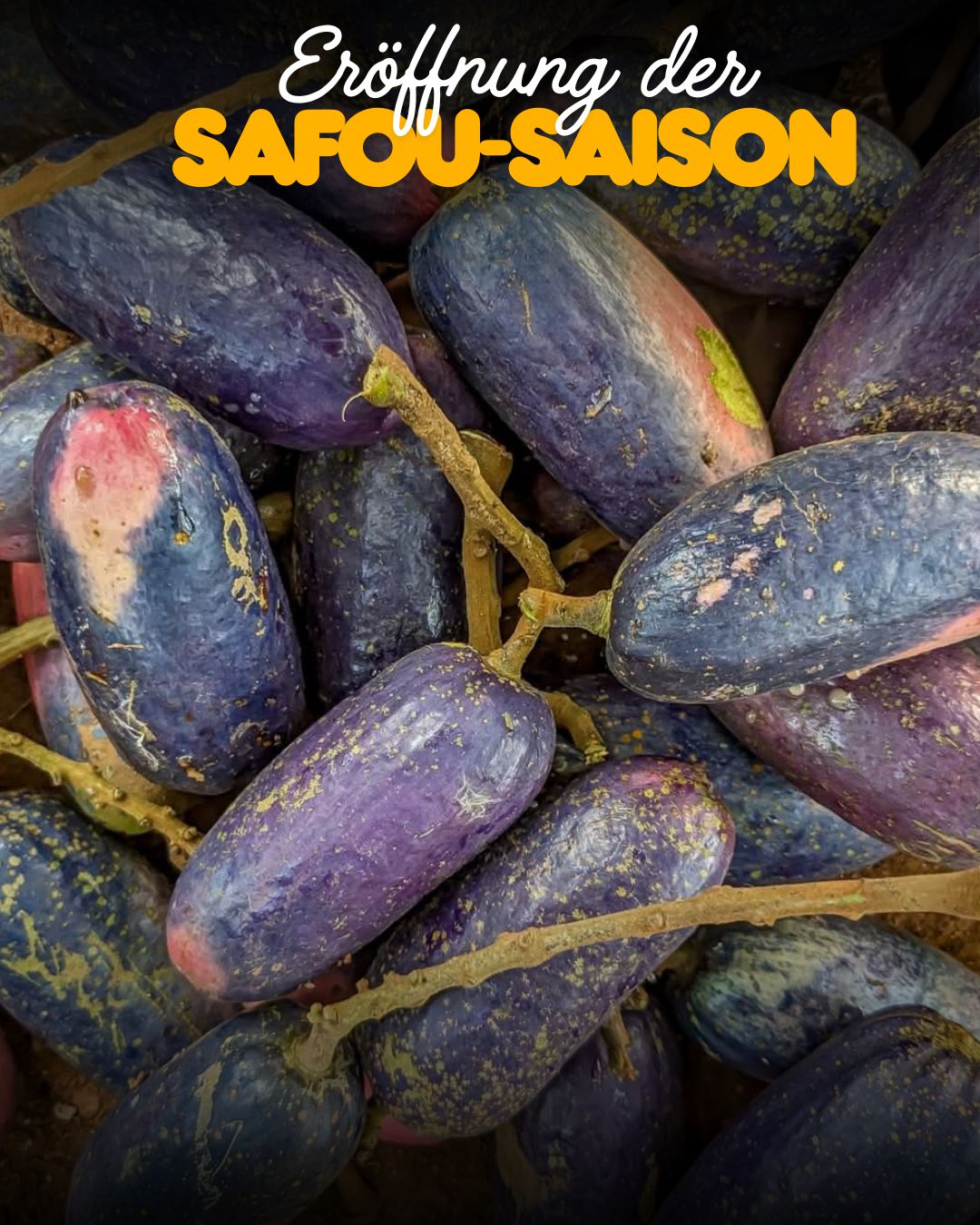 Frische Safou / African Pear