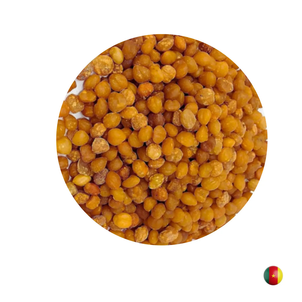 Djansang / Njangsa / Akpi - 100g Mein Shop