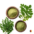 Moringa Pulver / Bio-Superfood Mein Shop