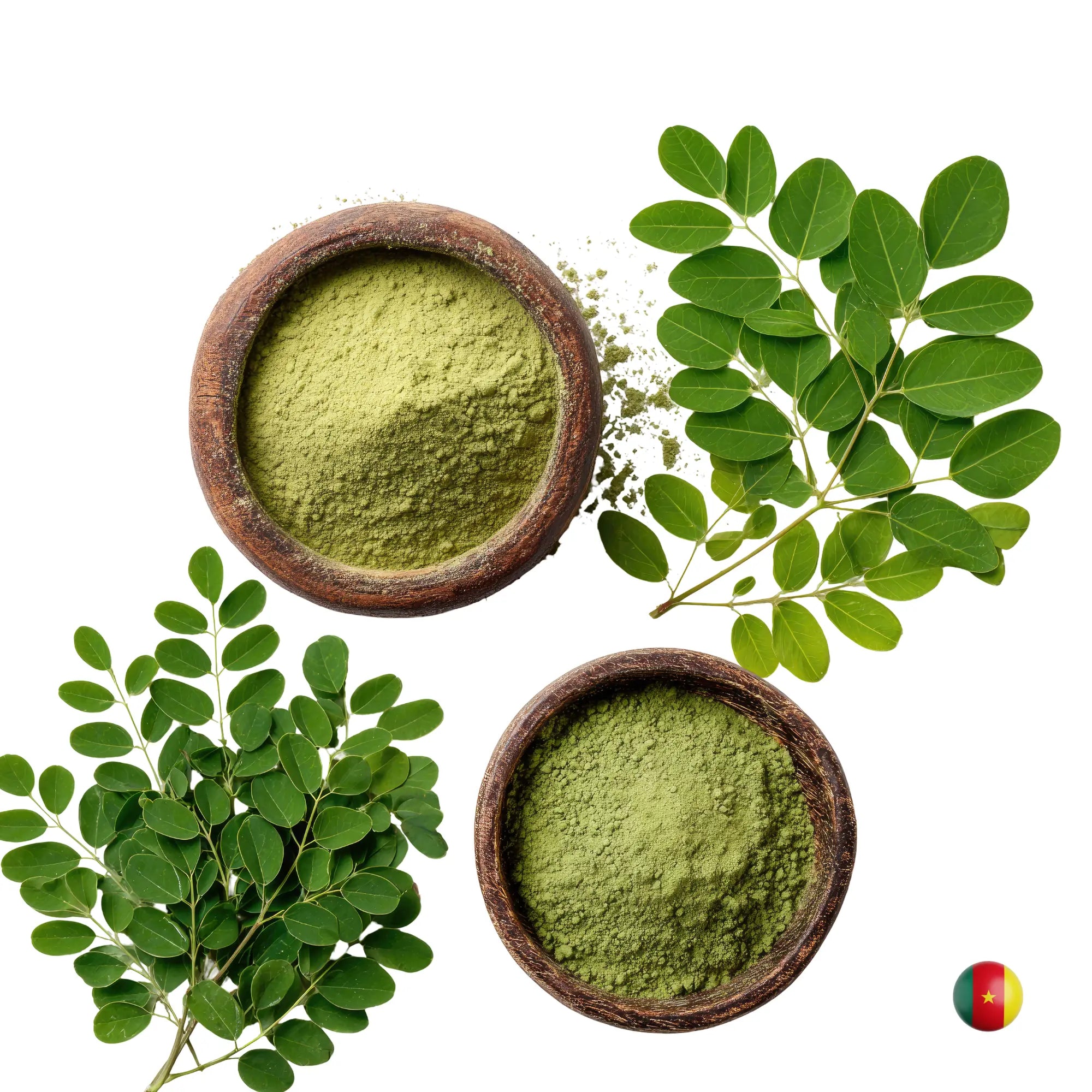Moringa Pulver / Bio-Superfood Mein Shop