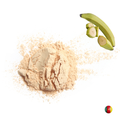Plantainmehl – 100% unripe Plantain Mein Shop