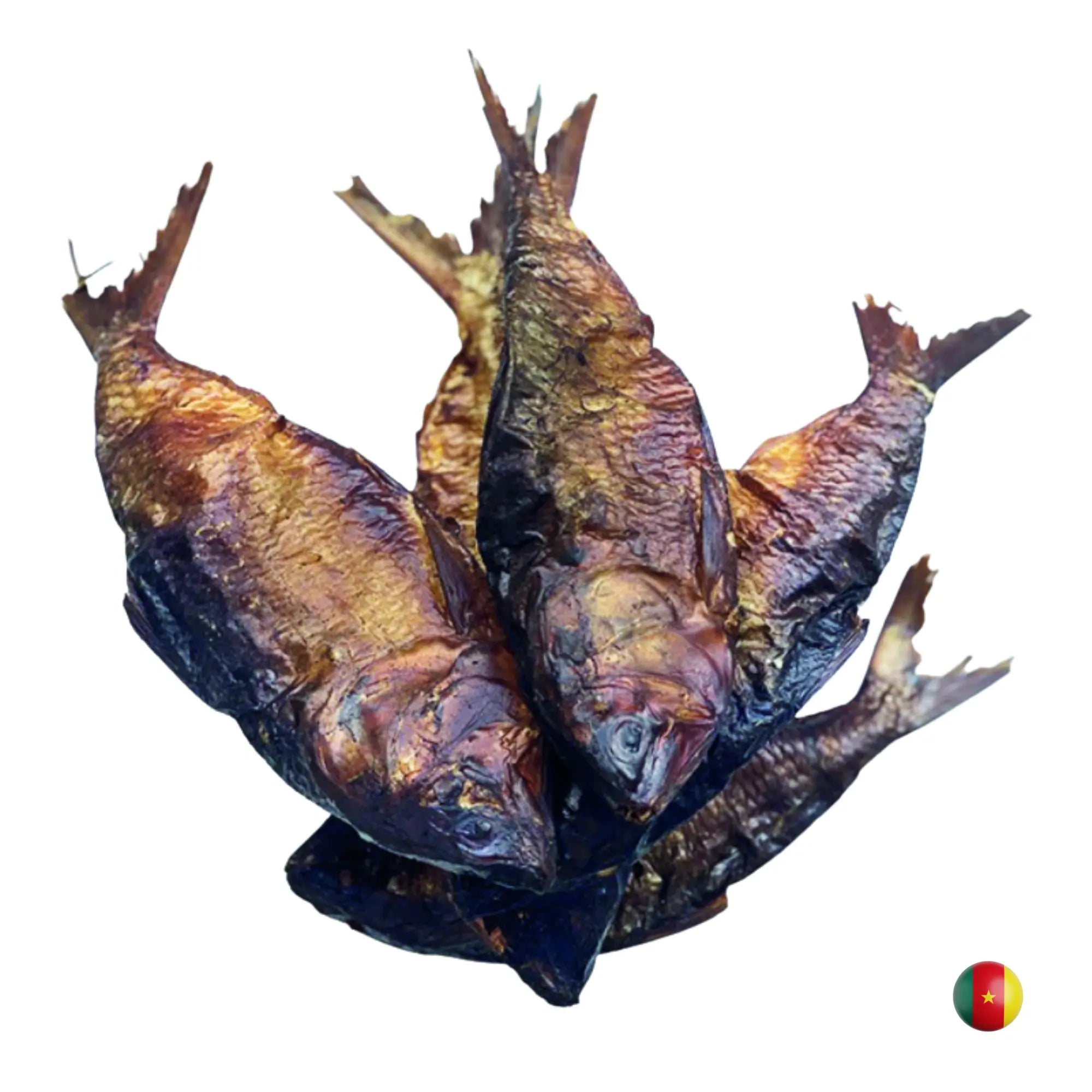Bonga-Fisch / Bifaga / Mbounga Mein Shop