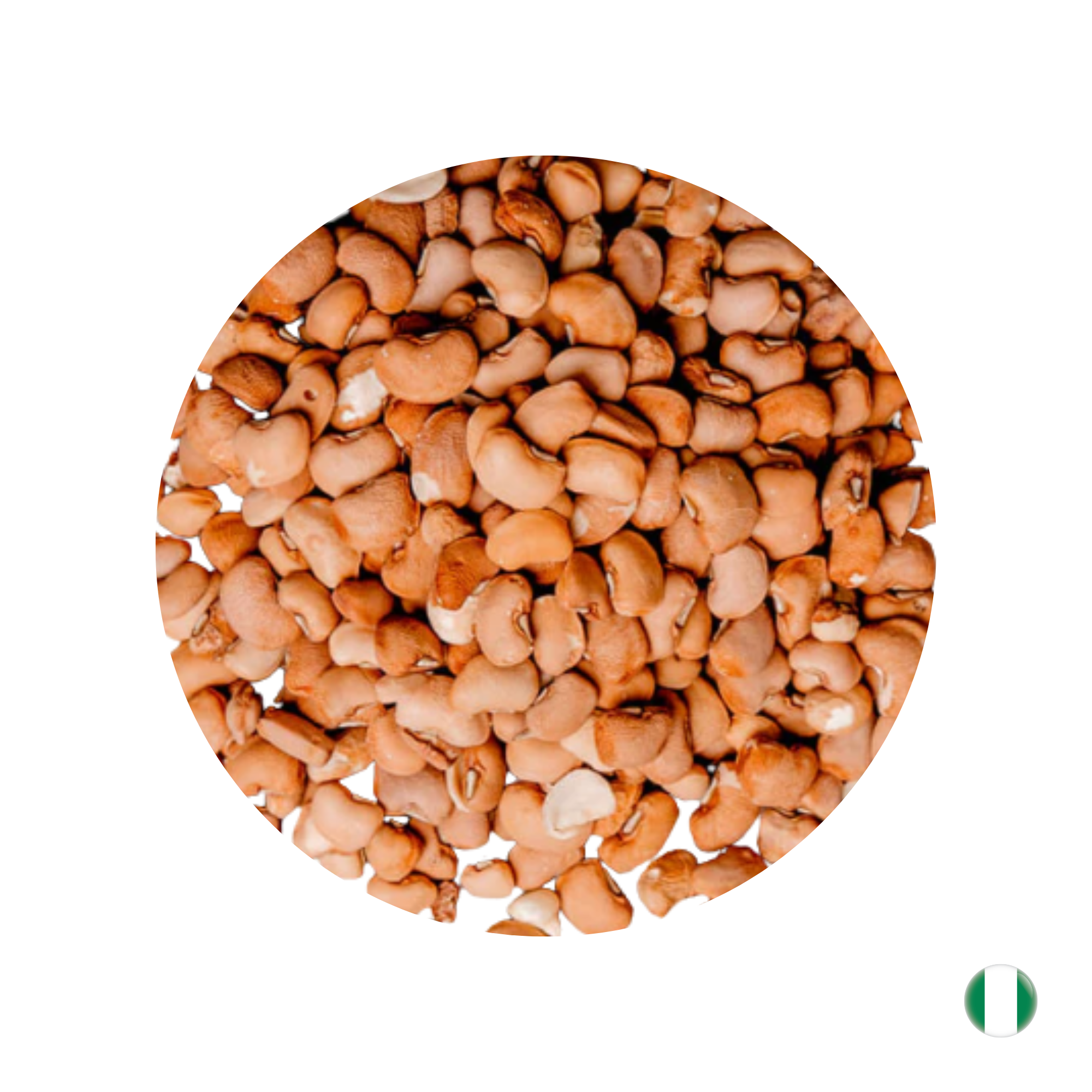 Braune Bohnen / Brown Beans Mein Shop