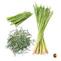 Getrocknetes Zitronengras / Zitrustee / Citronnelle Mein Shop