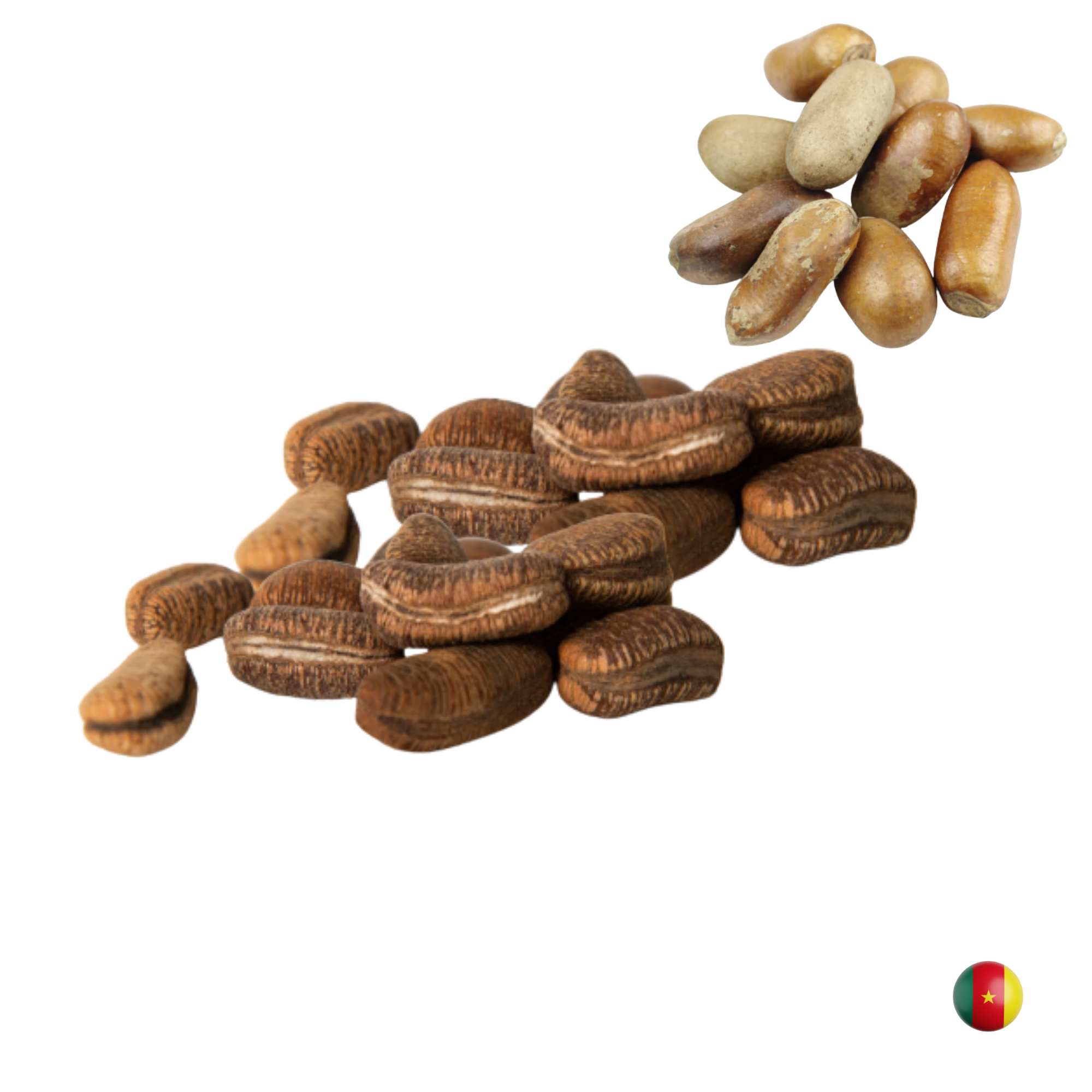 Pébè – Afrikanischer Muskat Mein Shop