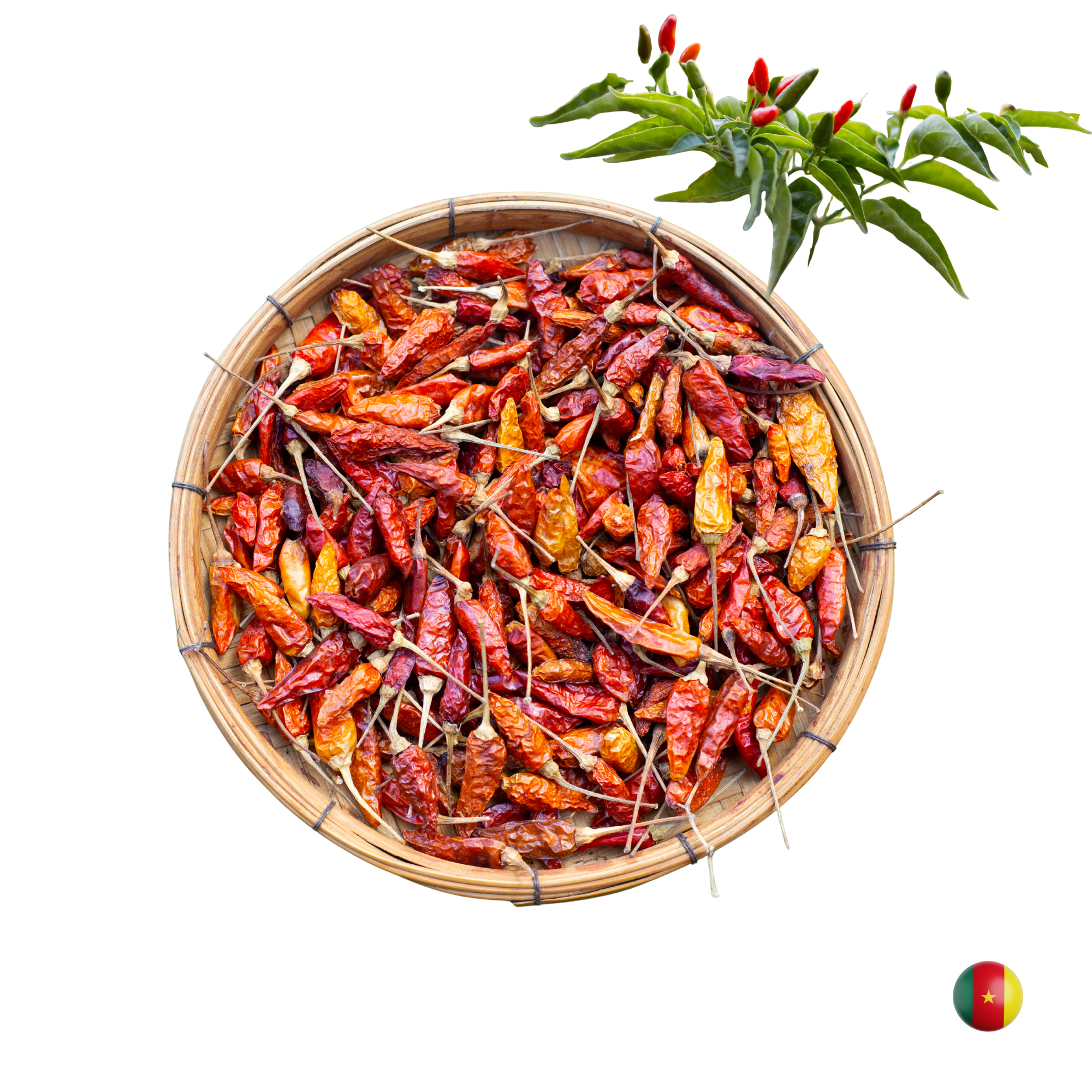 Bird's Eye Chili / petit Piment Mein Shop