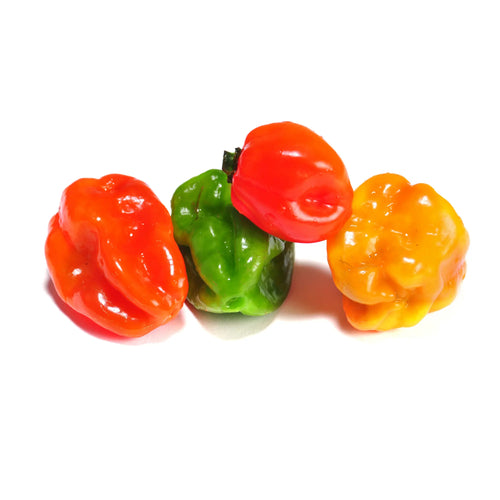 Frische Habanero Chili / Piment frais Mein Shop