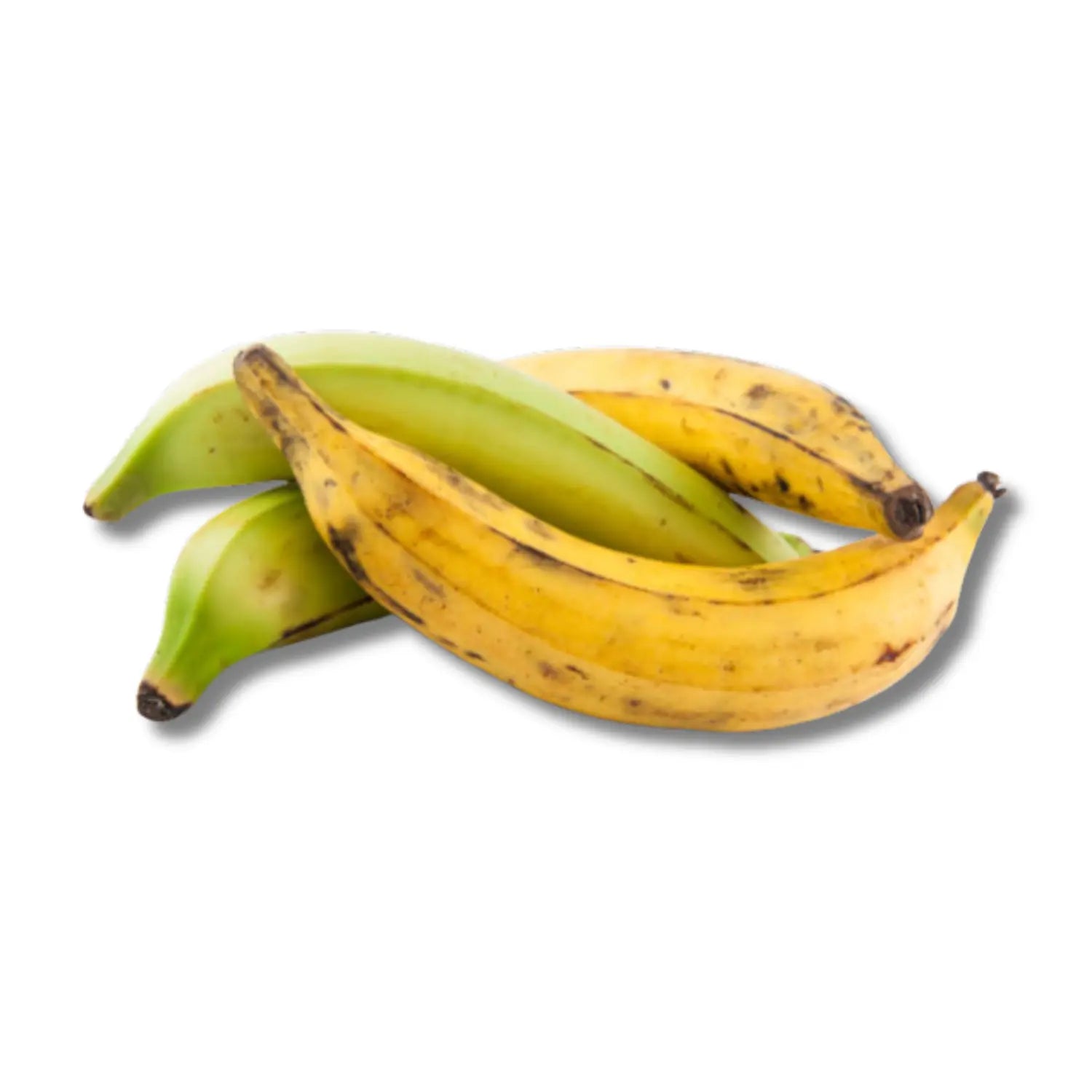 Gelbe Kochbananen / gelbe Plantains - 1kg Mein Shop